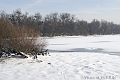 Lac gele